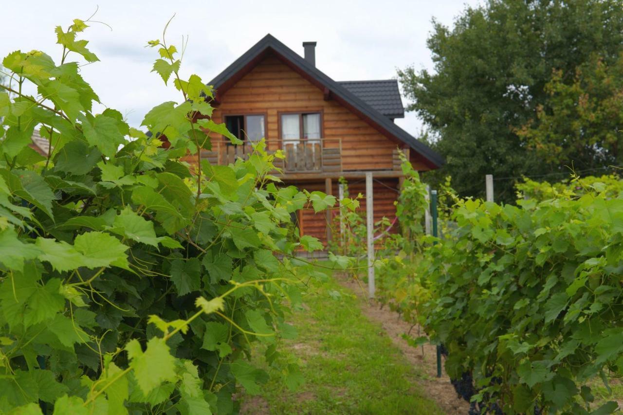 Dom Pachnacy Zywica Villa Bochnia Exterior photo